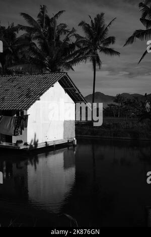 Foto monocromatica, foto in bianco e nero di un edificio di capanna nel mezzo di uno stagno nella zona di Cikancung - Indonesia Foto Stock