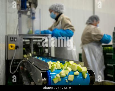 Berlino, Germania. 21st Ott 2022. Le mele a fette viaggiano sul nastro trasportatore nella sala di produzione della società FBB/Havita Berlin Frischgemüse GmbH, presa durante il viaggio stampa sul tema "creazione di valore regionale nel Brandeburgo". Credit: Monika Skolimowska/dpa/Alamy Live News Foto Stock