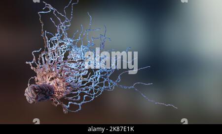 Batteri peritricci con molti flagellum, batteri con lunghe code e villi sottili che si muovono nell'ambiente nero, virus galleggiano nel liquido Foto Stock