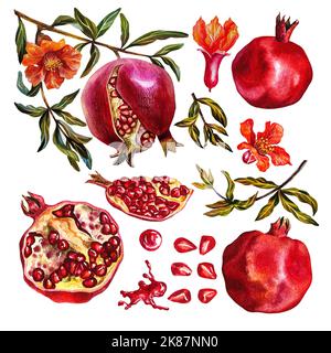 Set di melograni. Frutto melograno su un ramo, melograno aperto, fiori melograno. Illustrazione acquerello. Isolare su sfondo bianco. Per etichetta Foto Stock