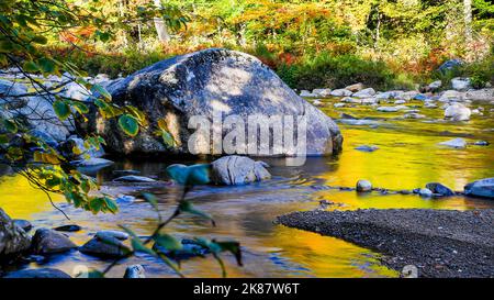 Golden Swift River con riflessi autunnali mattutini nel New Hampshire Foto Stock