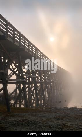 Ponte di Pritchard, protetto dalla nebbia. Fog calze nel ponte a una corsia sul fiume Thompson Sud a Pritchard, British Columbia. Canada. Foto Stock