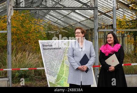 21 ottobre 2022, Brandeburgo, Cottbus/OT Branitz: Klara Geywitz (l, SPD), Ministro federale dell'edilizia e dell'edilizia, e Manja Schüle (r, SPD), Ministro della scienza, della ricerca e della cultura del Brandeburgo, si trovano di fronte a una ex serra nel Parco all'aperto di Branitz, sulla base della futura "Università del nuovo edificio". È stato presentato il progetto modello del governo federale "New Tree University Branitz" per la conservazione dei giardini storici nel cambiamento climatico. Una nuova era della Branitz Tree University, di 176 anni, verrà fondata sul terreno di un antico giardino di mercato. Il parco all'aperto w Foto Stock