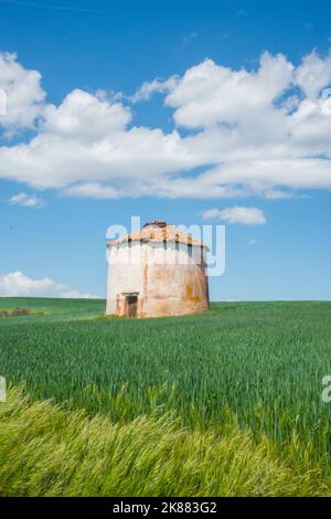 Colombaia tradizionale. Noviales, provincia Soria, Castilla Leon, Spagna. Foto Stock