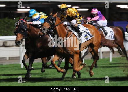 Gara 6, AL VOLANTE di ACE (6), guidato da Matteo Poon Ming-fai (sete gialle), ha vinto la classe 4 su 1200m a Happy Valley. 08DEC21 SCMP / Kenneth Chan. Foto Stock