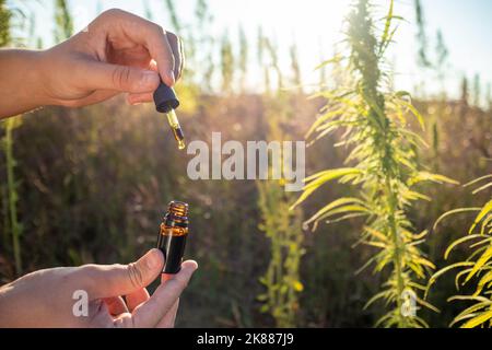 Mani che reggono bottiglia e contagocce riempito con olio di canapa CBD, piante di cannabis sul campo in background Foto Stock