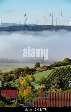 Un gruppo di mulini a vento si erge su una collina contro un cielo limpido e c'è nebbia nella valle di fronte ad essa. Foto Stock