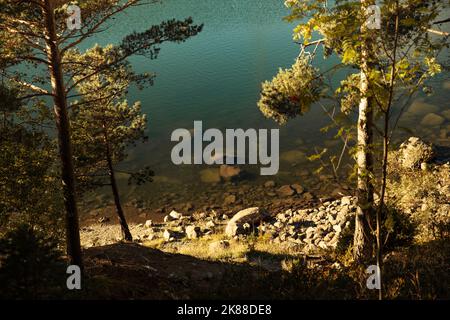 Riva di un lago con acqua trasparente accanto ad alcuni alberi Foto Stock