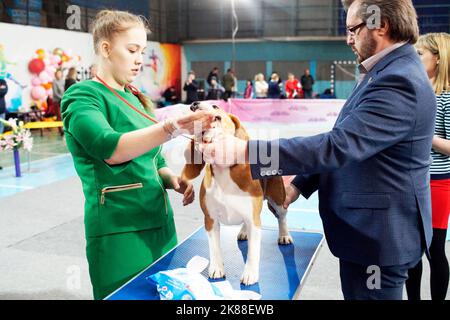 Una donna che porta con se un cane da falce alla mostra Foto Stock