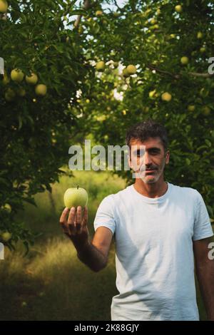 Ritratto di un mediorientale che tiene in mano una mela e la posa in un frutteto di mele Foto Stock