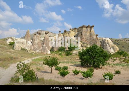 paesaggio della cappadocia con piante e bizzarre formazioni rocciose Foto Stock