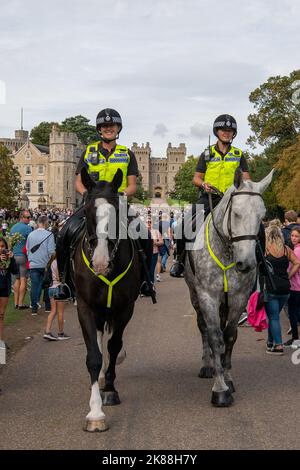 Windsor, Berkshire, Regno Unito. 11th Settembre 2022. Thames Valley Police cavalli sulla lunga passeggiata oggi come migliaia di persone sono venuto nella città di Windsor ancora oggi per porre fiori come un segno di rispetto dopo il passaggio di sua Maestà la Regina. Credito: Maureen McLean/Alamy Foto Stock