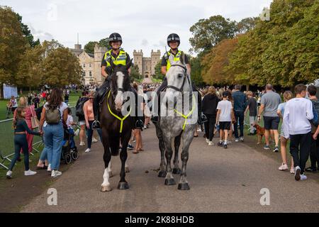 Windsor, Berkshire, Regno Unito. 11th Settembre 2022. Thames Valley Police cavalli sulla lunga passeggiata oggi come migliaia di persone sono venuto nella città di Windsor ancora oggi per porre fiori come un segno di rispetto dopo il passaggio di sua Maestà la Regina. Credito: Maureen McLean/Alamy Foto Stock