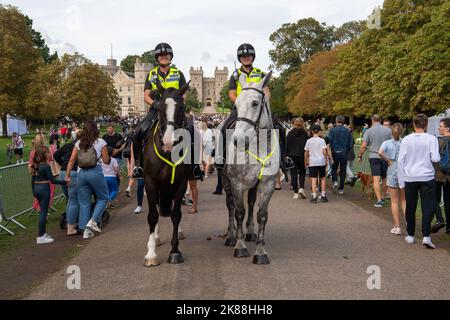 Windsor, Berkshire, Regno Unito. 11th Settembre 2022. Thames Valley Police cavalli sulla lunga passeggiata oggi come migliaia di persone sono venuto nella città di Windsor ancora oggi per porre fiori come un segno di rispetto dopo il passaggio di sua Maestà la Regina. Credito: Maureen McLean/Alamy Foto Stock