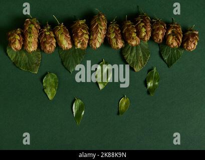 Vista dall'alto dei coni di luppolo secco e delle foglie su sfondo verde. Ingrediente nell'industria della birra. Medicina di erbe. Foto Stock