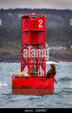 Una foto verticale di belle foche sul faro rosso Foto Stock