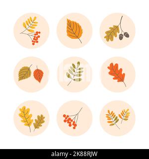Autunno foglie icona set. Evidenzia icone di copertina, pulsanti, badge o adesivi. Illustrazione Vettoriale