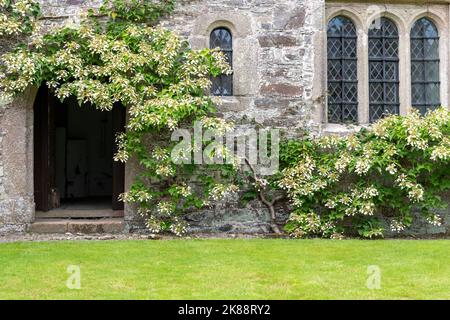 Calstock.Cornwall.United Kingdom.July 23 2021.View di Cotehele casa in Cornwall Foto Stock
