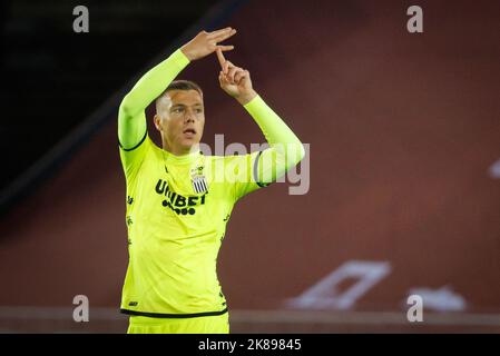 Daan Heymans di Charleroi festeggia dopo aver segnato durante una partita di calcio tra Cercle Brugge e Sporting Charleroi, venerdì 21 ottobre 2022 a Brugge, il 14° giorno della prima divisione del campionato belga della 'Jupiler Pro League' del 2022-2023. BELGA FOTO KURT DESPLENTER Foto Stock