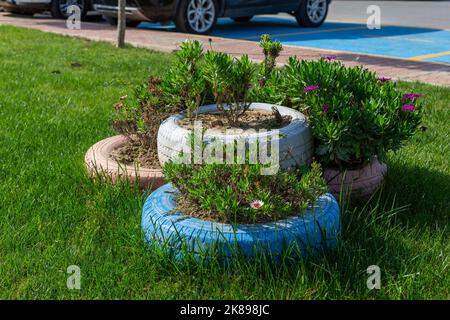 Vasi di fiori fatti di vecchi pneumatici di automobile. Foto Stock