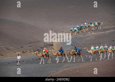 Turisti in sella a cammelli, nel Parco Nazionale di Timanfaya, Lanzarote, Isole Canarie, Spagna Foto Stock