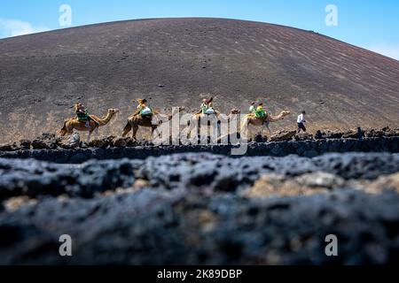 Turisti in sella a cammelli, nel Parco Nazionale di Timanfaya, Lanzarote, Isole Canarie, Spagna Foto Stock