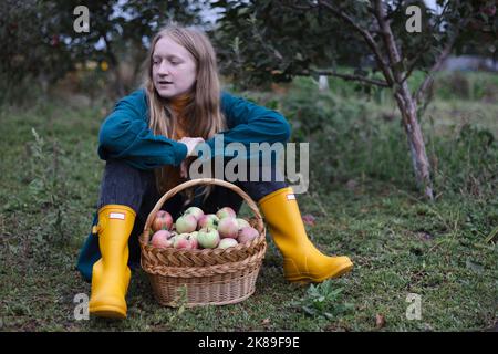 ragazza e cesto con mele succose in giardino. estetica della vita rurale Foto Stock