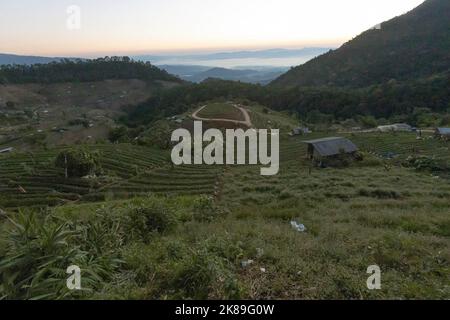 Chiang mai, Thailandia. 09th Jan, 2022. Campi coltivati che circondano il villaggio di Lahu nella provincia di Chiang mai. Le comunità di Lahu e Hmong sono due dei gruppi etnici minoritari classificati come "tribù delle colline" in Thailandia. Originalmente dal Tibet e dalla Cina, vivono nei villaggi nelle province settentrionali montane di Chiang mai e Chiang Rai. (Foto di Ana Norman Bermudez/SOPA Images/Sipa USA) Credit: Sipa USA/Alamy Live News Foto Stock