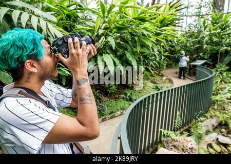 Bogota Colombia, Engativa Calle 63 Jardin Botanico de Bogota¡ Jose Celestino Mutis Orto Botanico, Expedicion Tropicario ecosistema tropicale spedizione Foto Stock