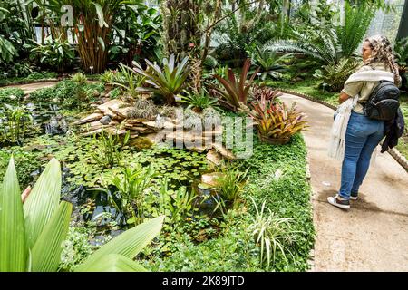 Bogota Colombia, Engativa Calle 63 Jardin Botanico de Bogota¡ Jose Celestino Mutis Orto Botanico, Expedicion Tropicario ecosistema tropicale spedizione Foto Stock