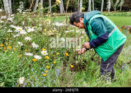 Bogota Colombia, Engativa Calle 63 Jardin Botanico de Bogota¡ Jose Celestino Mutis Giardino Botanico, mostra mostre collezione piante uomo uomo uomo maschio bot Foto Stock