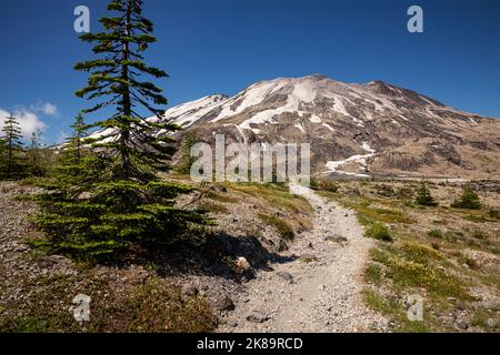 WA22500-00...WASHINGTON - il sentiero di Loowit nelle pianure di Abraham situato lungo il lato est della montagna nel Monte St. Helens NVM. Foto Stock