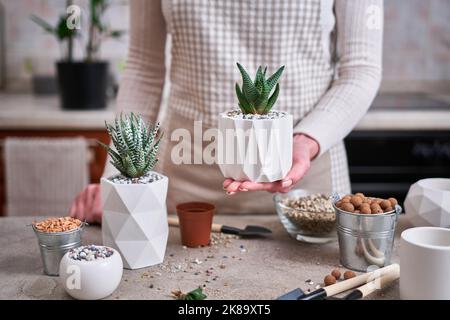 Donna in possesso di vaso succulento haworthia pianta in bianco ceramica Pot Foto Stock