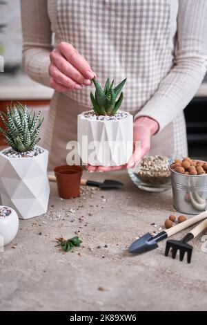 Donna in possesso di vaso succulento haworthia pianta in bianco ceramica Pot Foto Stock