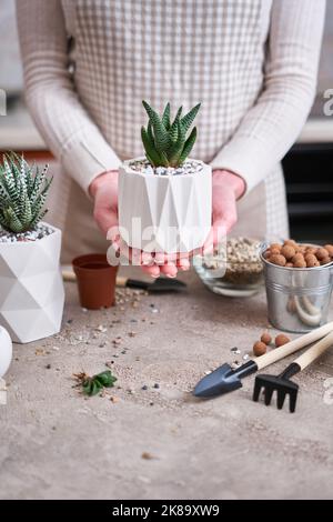 Donna in possesso di vaso succulento haworthia pianta in bianco ceramica Pot Foto Stock