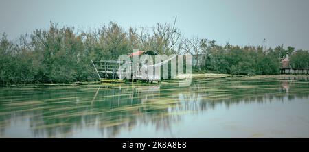 Resti di una capanna di pesca nella palude Foto Stock