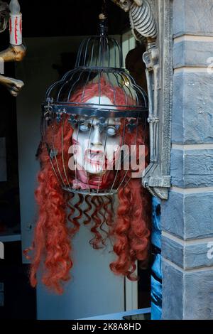 la testa tagliata di un vampiro femminile è appesa in una gabbia. Foto di alta qualità Foto Stock