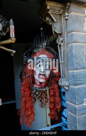 la testa tagliata di un vampiro femminile è appesa in una gabbia. Foto di alta qualità Foto Stock