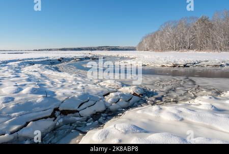 Una giornata invernale nella palude di Scarborough, Maine Foto Stock