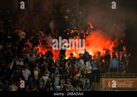 Melbourne, Australia. 22 ottobre 2022. Il sostenitore del Melbourne City Football Club festeggia il suo primo gol contro il Melbourne Victory Football Club durante il Round 3 della a-League Isuzu UTE, la stagione 2022/23 degli uomini tra Melbourne Victory e Melbourne City. Credit: James Forrester/Alamy Live News. Foto Stock