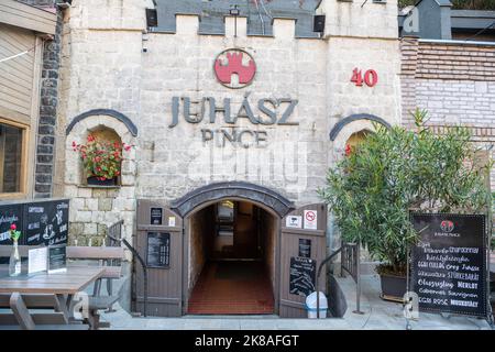 Eger, Ungheria – 17 ottobre 2022. Cantina di vini Juhasz Pince nella Valle delle belle Donne di Eger, Ungheria. Vista esterna della cantina con il Foto Stock