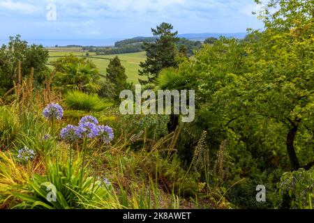 Vista dal giardino sub-tropicale del Castello di Dunster con ampie vedute del canale di Bristol, Dunster, Somerset, Inghilterra, Regno Unito. Foto Stock