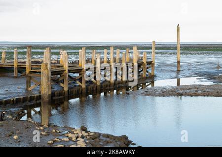 Vecchio porto con molo e alcuni mucchi vicino al villaggio di De Cocksdorp sull'isola di Wadden di Texel. Foto Stock