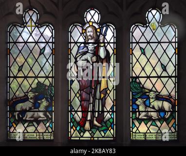 Una vetrata di Shrigley & Hunt of Lancaster raffigurante Gesù il buon Pastore, la Chiesa di San Giacomo minore, Tatham vicino a Lancaster, Lancashire Foto Stock