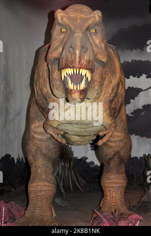 Tyrannosaurus Rex Model - Museo di Storia Naturale di Londra Foto Stock