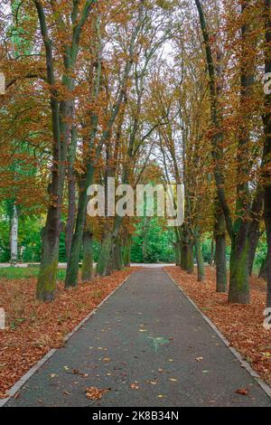 Parco Sotillo e Orcheto del Vescovo a Palencia. Spagna Foto Stock