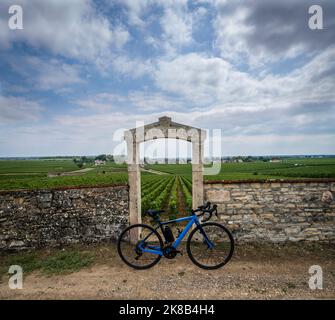 Pietra porta di un vigneto sulla Cote de Beaune, Borgogna, Francia. Foto Stock