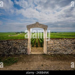 Pietra porta di un vigneto sulla Cote de Beaune, Borgogna, Francia. Foto Stock