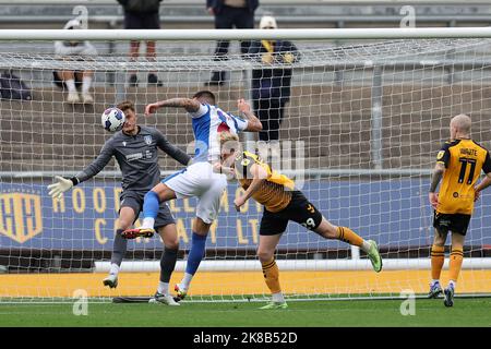 Newport, Regno Unito. 22nd Ott 2022. La contea di Newport di Evans è a capo e segna i suoi team 1st goal. EFL Football League Two match, Newport County contro Colchester Utd alla Rodney Parade di Newport, Galles, sabato 22nd ottobre 2022. Questa immagine può essere utilizzata solo per scopi editoriali. Solo per uso editoriale, licenza richiesta per uso commerciale. pic by Credit: Andrew Orchard SPORTS photography/Alamy Live News Foto Stock