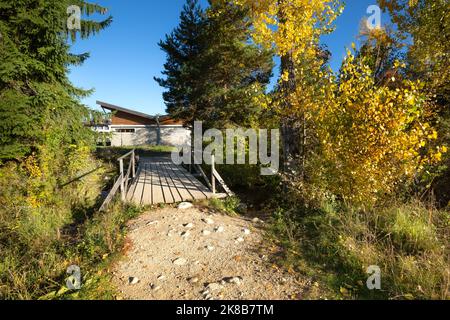 Autunno natura paesaggio con il ponte sul torrente e alberi colorati, sole luce del sole sulla strada sciistica di Bansko, Bulgaria Foto Stock